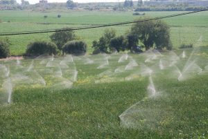 AGRICOLTURA IRRIGAZIONE