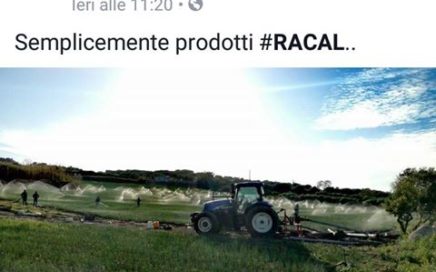 foto melograna